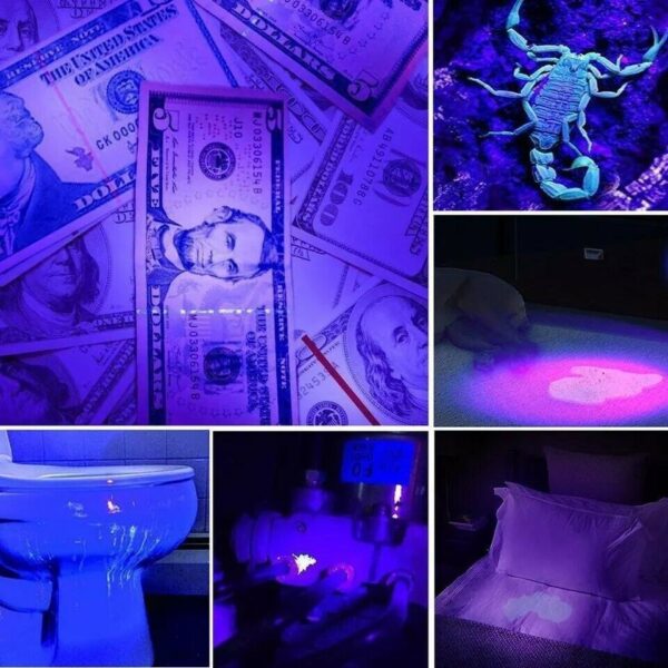 Multifunctional Counterfeit Detector UV LED Flashlight - Image 3