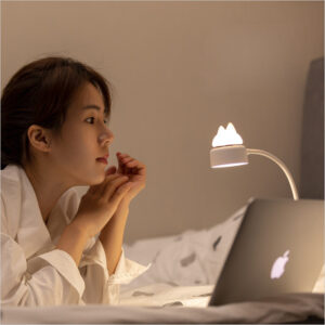 LED Desk Lamp USB Charging Folding Clip Light