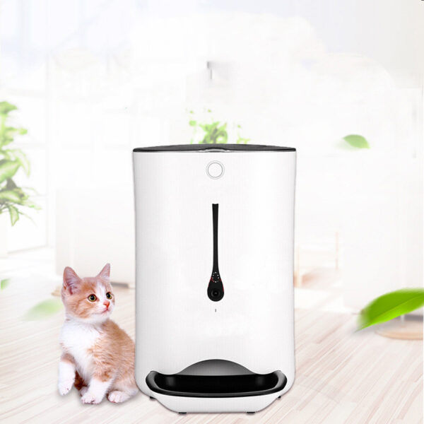 Timed pet video automatic feeder - Image 2