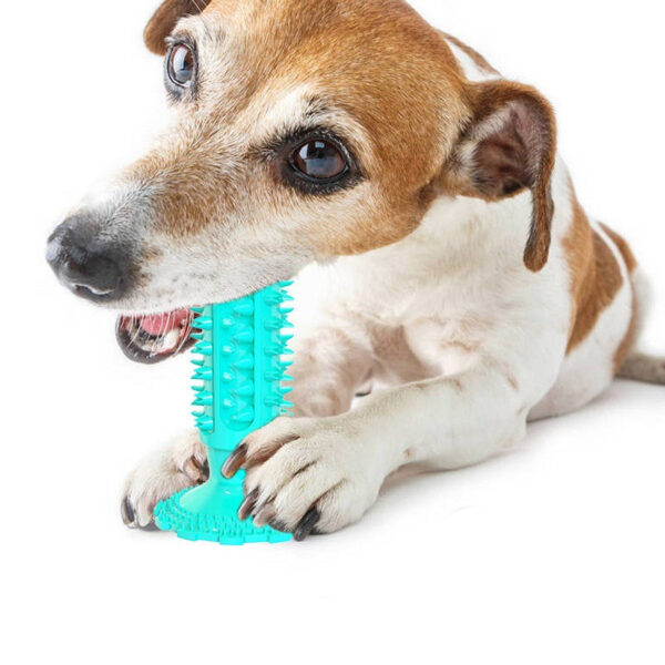 Teeth Cleaning Dog Toothbrush Sucker Molar Stick Dog Bite Toy - Image 2