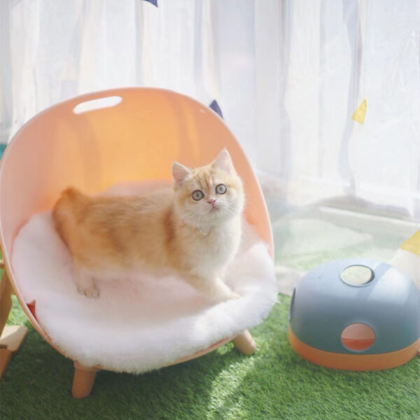 Cat Turntable Cat Toy - Image 5
