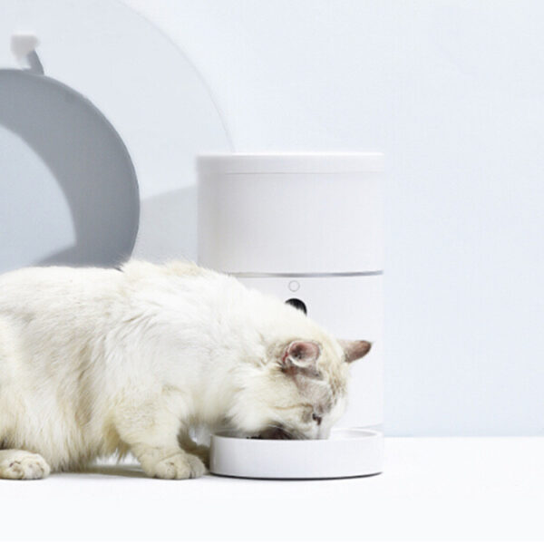 Pet Dog Cat Food Dispenser Bowl with Camera Wide Angle Automatic Pet Feeder Food Bowl APP Control Pet Accessories - Image 7