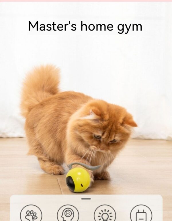 Cat Toy Electric Toy Ball - Image 10