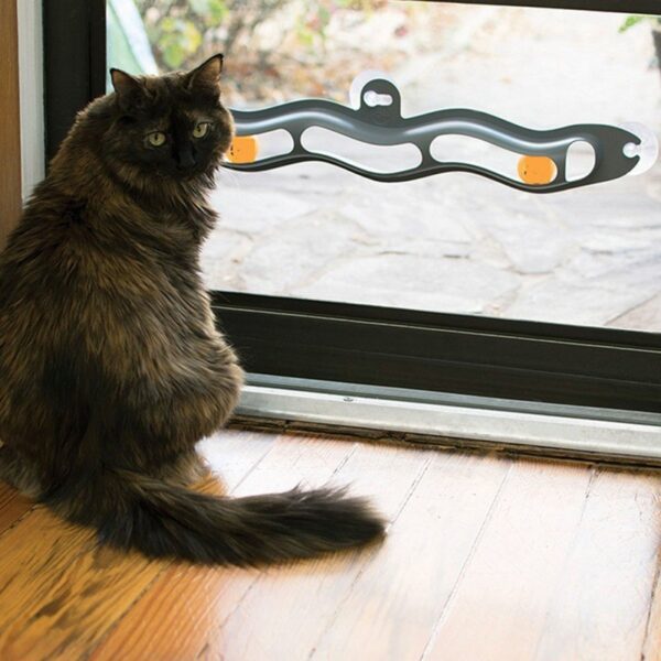 Interactive Track Ball Window Suction Cup Toy Catnip Balls Massage Plastic Sucker Funny Cat Game Intelligence Toy - Image 2