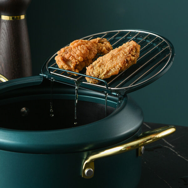 Temperature control of household fryer - Image 4