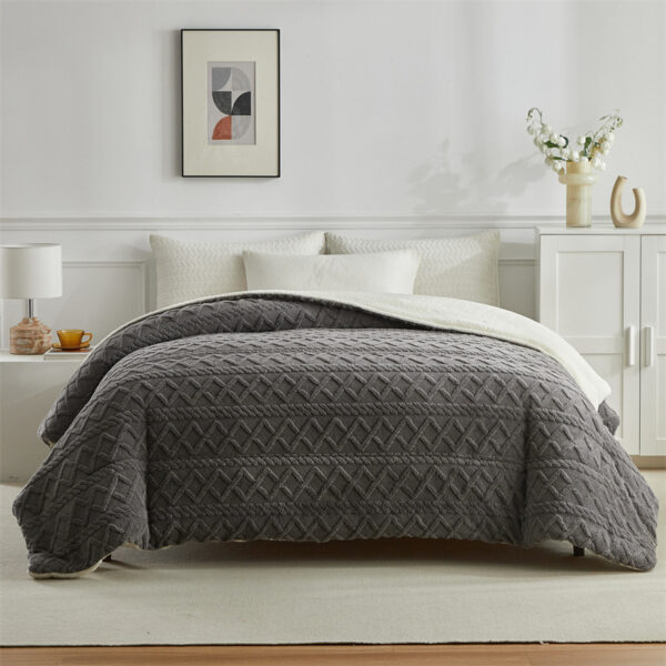 Coral Flannel Winter Polyester Blanket