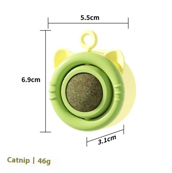 Cat Molar Catnip Gall Fruit Pet Toy - Image 6