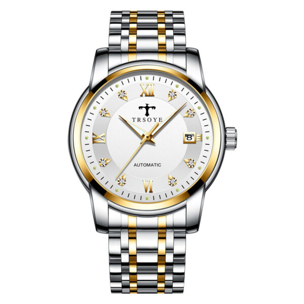 Business Luminous Waterproof Automatic Mechanical Watch - Image 2
