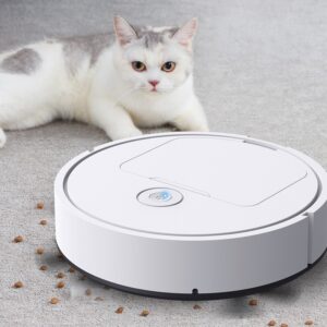 Intelligent Sweeping And Mopping Robot