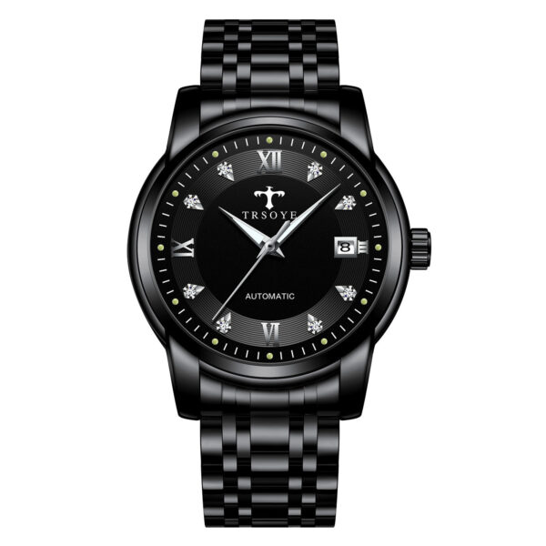 Business Luminous Waterproof Automatic Mechanical Watch - Image 4