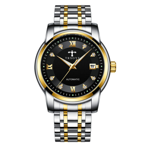 Business Luminous Waterproof Automatic Mechanical Watch - Image 3