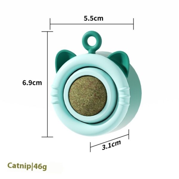 Cat Molar Catnip Gall Fruit Pet Toy - Image 7