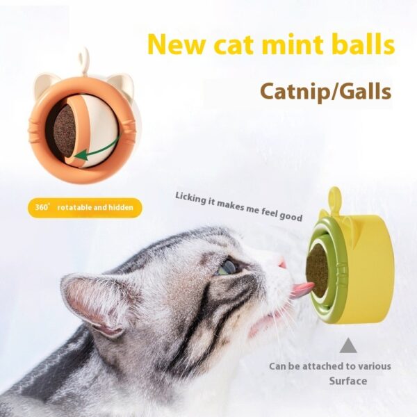 Cat Molar Catnip Gall Fruit Pet Toy - Image 2