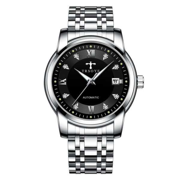 Business Luminous Waterproof Automatic Mechanical Watch - Image 6