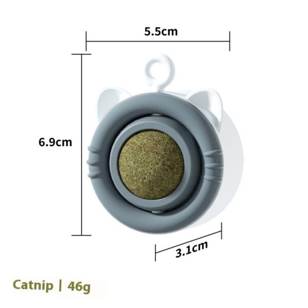 Cat Molar Catnip Gall Fruit Pet Toy - Image 9