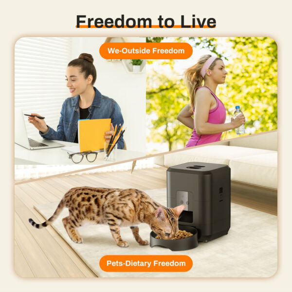 Pet Intelligent Timing Quantitative Remote Automatic Pet Feeder - Image 3