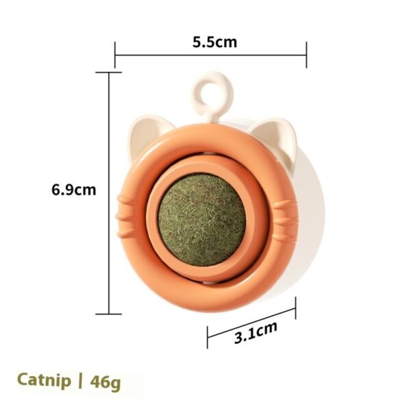 Cat Molar Catnip Gall Fruit Pet Toy - Image 8